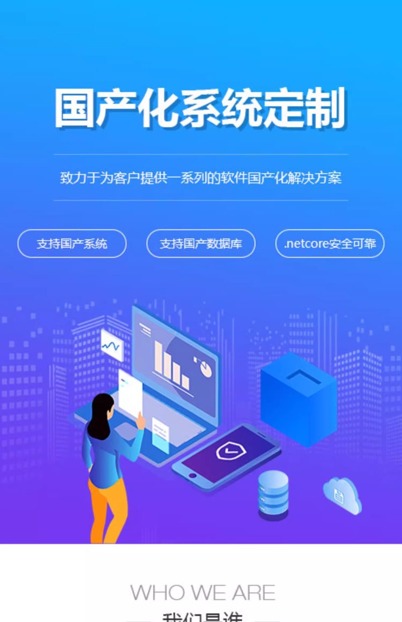 企业信息化系统的价值与现状